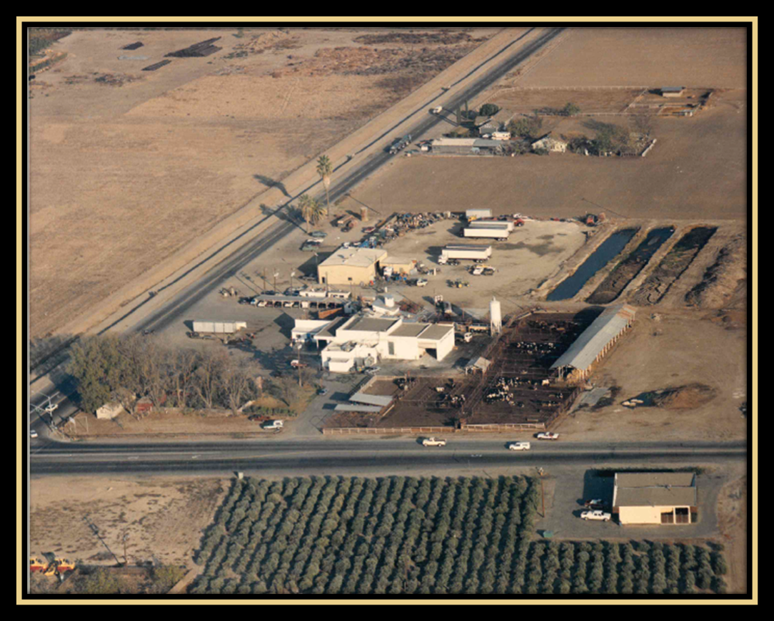 Original Plant Tulare